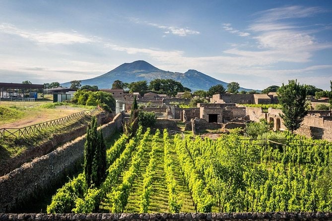 Vesuvius, Pompeii Ruins, Experience Vineyards And The Winery Tour With